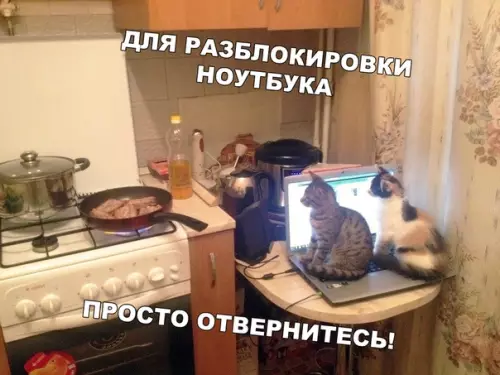 Смешная картинка №468058 Котятки видимо ждут обед и греются на ноутбуке кошки