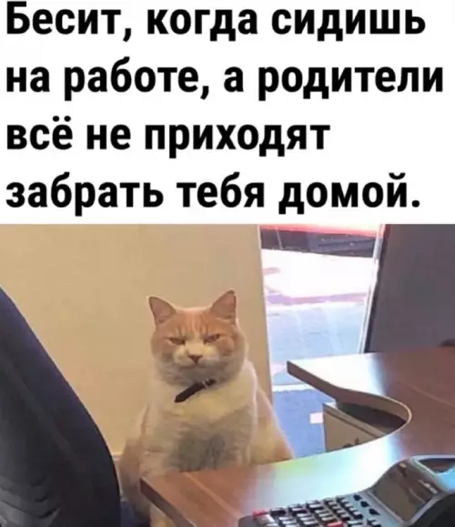 Смешная картинка №703511