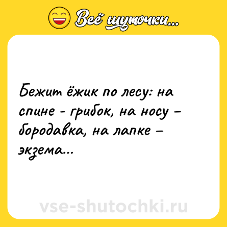 Шутка: Бежит ёжик по лесу: на спине - грибок, на носу – бородавка, на лапке – экзема…