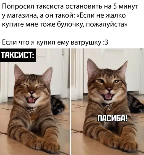 Смешная картинка №454869