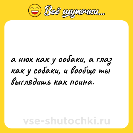 Шутка: а нюх как у собаки, а глаз как у собаки, и вообще ты выглядишь как псина.