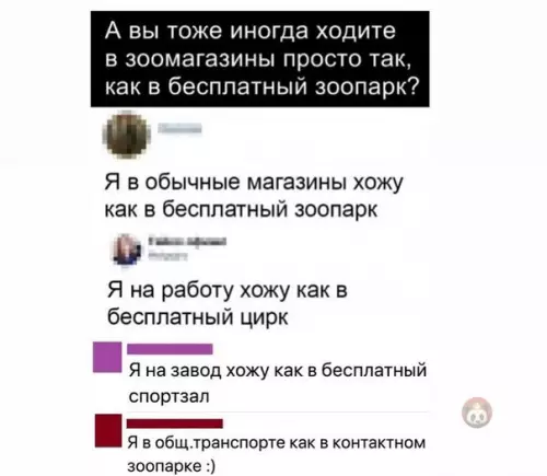 Смешная картинка №540076 Рейтинг лучших бесплатных заведений ?