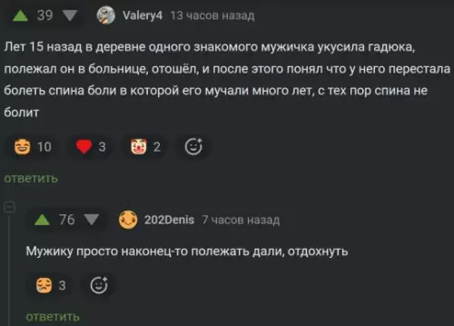 Лечебная гадюка или магия отдыха 🐍 - Лет 15 назад в деревне одного знакома мужичка укусила гадюка,