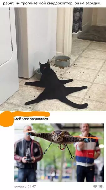 Смешная картинка №241190