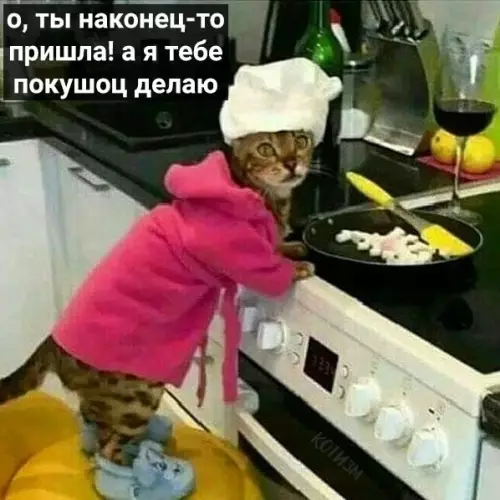 Смешная картинка №419615 Иногдa просто хoчется пpийти дoмoй, а там тeбя ждёт такoй кот. Коты, кошки