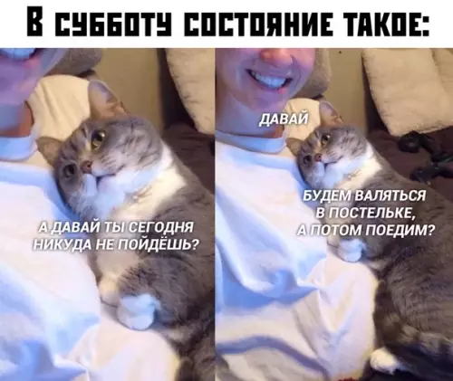 Смешная картинка №395183