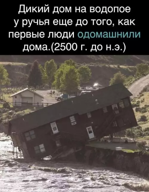 Смешная картинка №681481