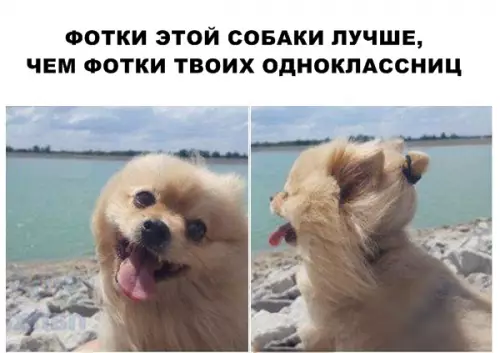Смешная картинка №290534