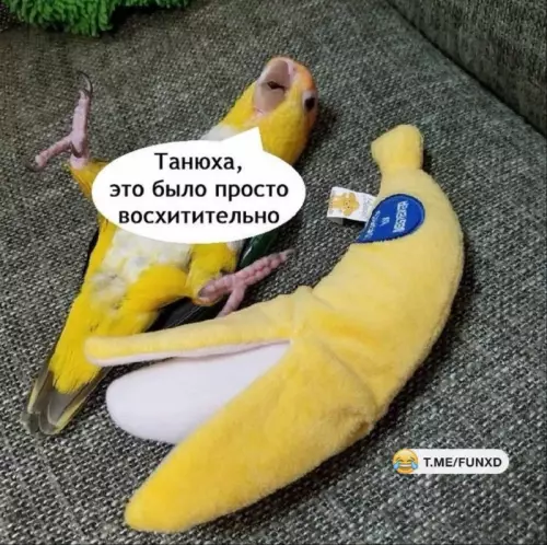 Смешная картинка №760297
