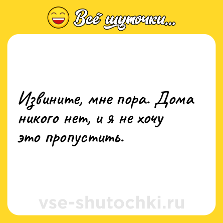 Шутка: Извините, мне пора. Дома никого нет, и я не хочу это пропустить.