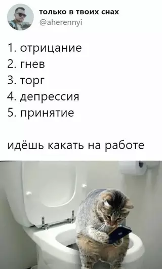 Смешная картинка №690732