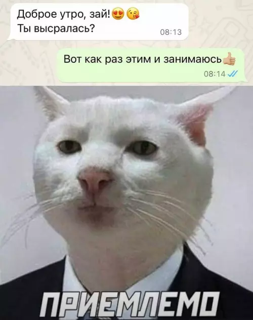 Смешная картинка №710645