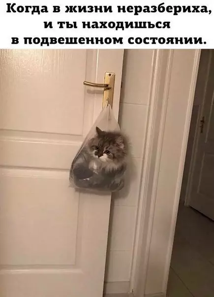 Смешная картинка №357876