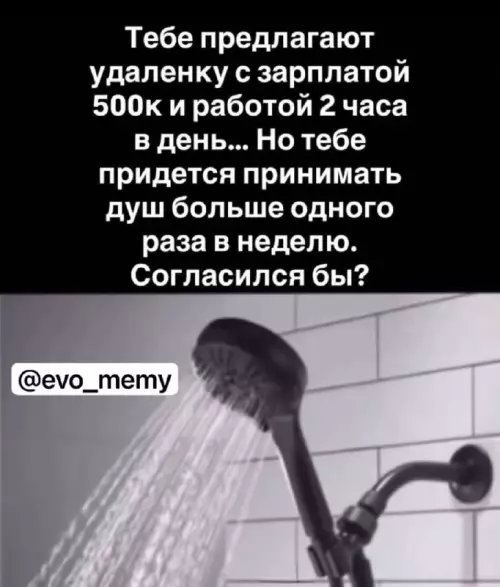 Работа мечты или риск заплесневеть? 😂🚿 - Тебе предлагают удаленку с зарплатой 500к и работой 2 часа