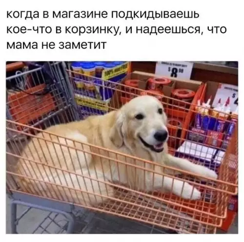 Смешная картинка №238208