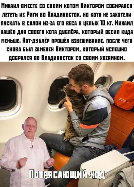 Смешная картинка №395086