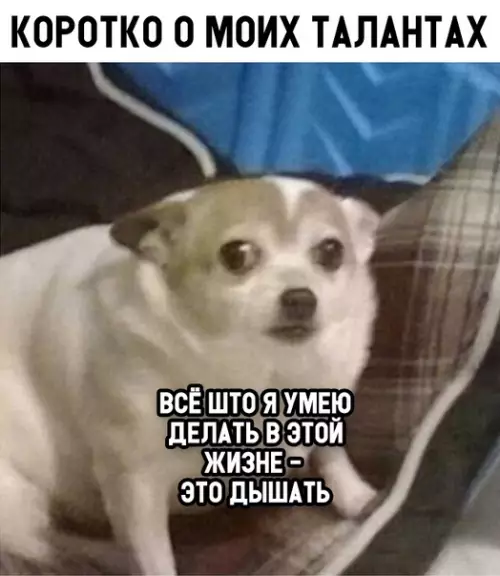 Смешная картинка №311405