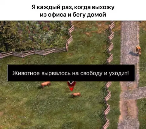 Побег из офисного плена! 🏃‍♂️💨 - Я каждый раз, когда выхожу из офиса и бегу домой.
