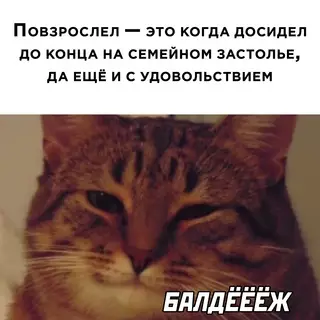 Смешная картинка №626609