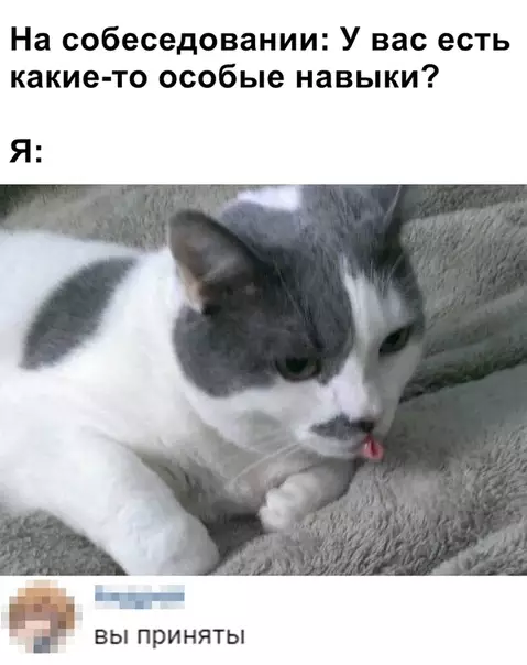 Смешная картинка №347080