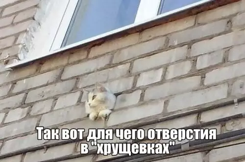 Смешная картинка №309698