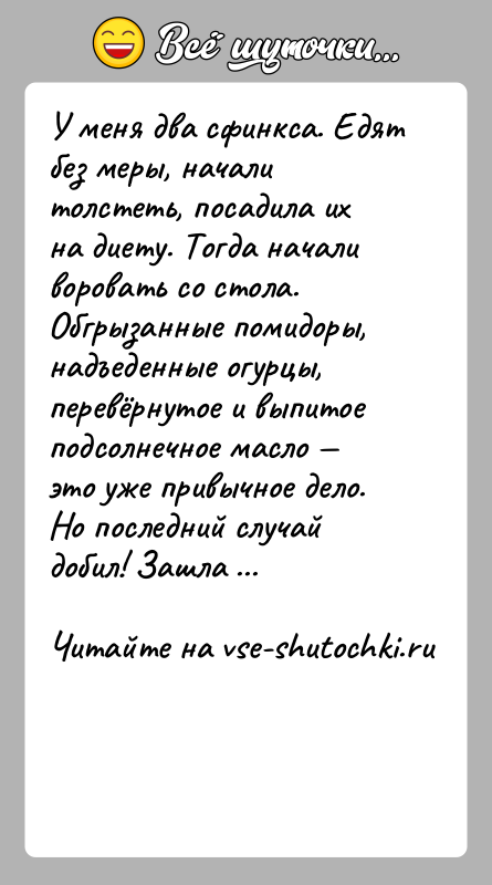 История: У меня два сфинкса. Едят без меры, начали толстеть, посадила их на диету. Тогда начали воровать со стола. Обгрызанные помидоры,