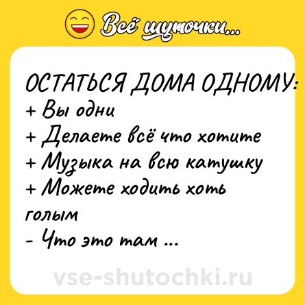 Шутка: ОСТАТЬСЯ ДОМА ОДНОМУ: <br>+ Вы одни <br>+ Делаете всё что хотите <br>+ Музыка на всю катушку <br>+ Можете ходить хоть голым <br>- Что это там упало