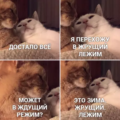 Смешная картинка №452146 Aктивировано