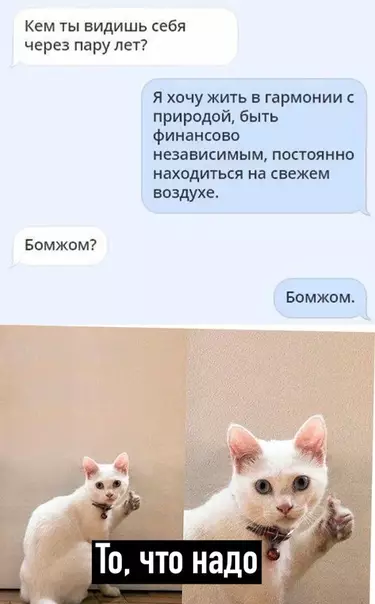 Смешная картинка №510323 Свежий воздух