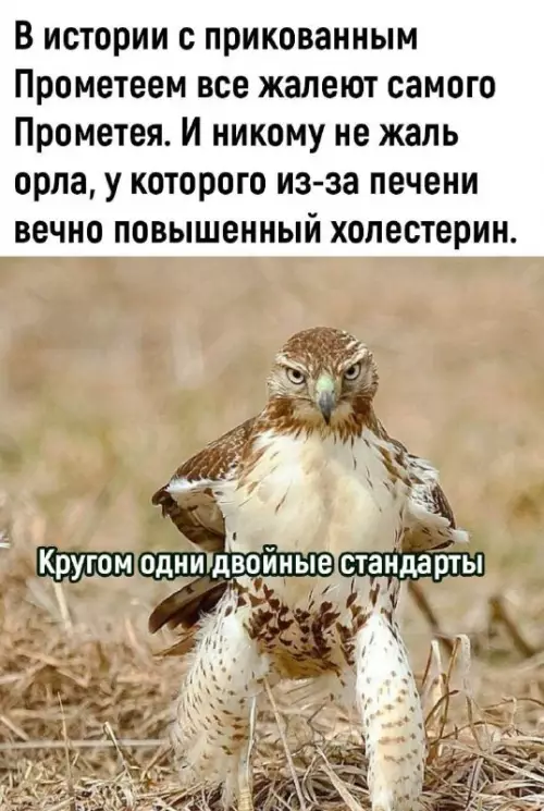 Смешная картинка №699651
