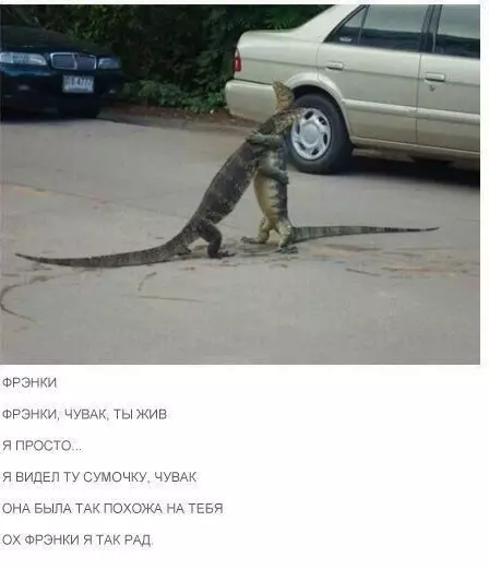 Смешная картинка №265451
