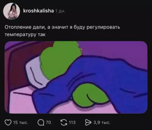 Когда включили отопление и ты в экстазе 🌡️🔥 - Отопление дали, а значит я буду регулировать температуру так