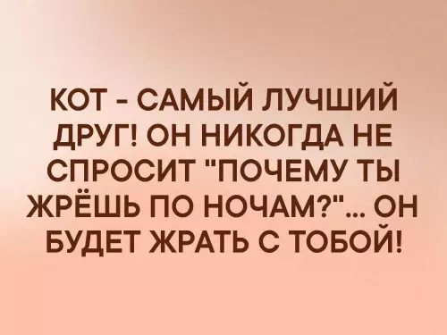 Смешная картинка №328504