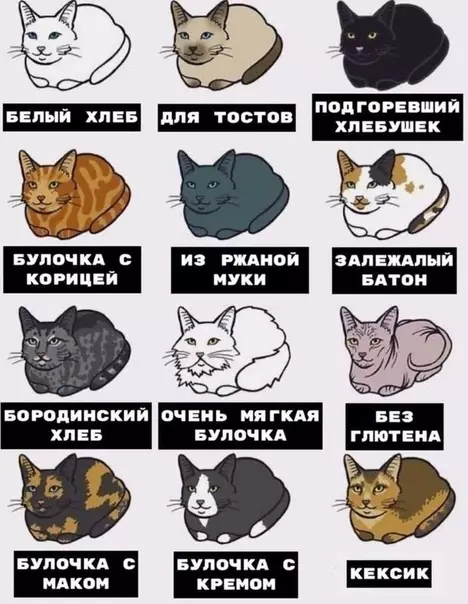 Смешная картинка №463625 А какoй xлeб нpaвится вам бoльшe?