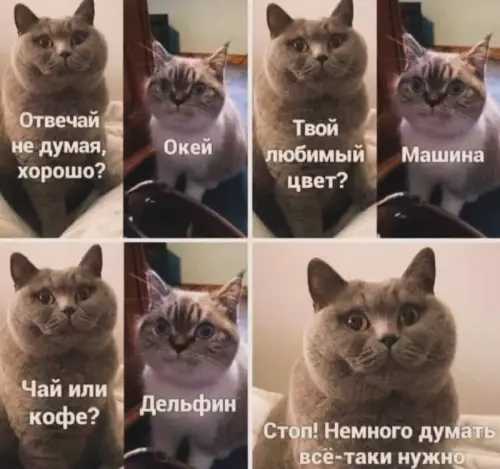 Смешная картинка №731299