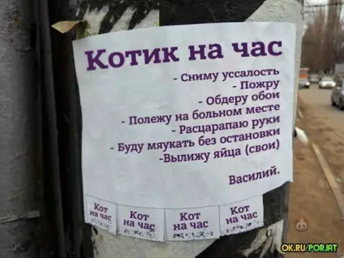 Смешная картинка №599150 Лучшее объявление за год, что я видел ? объявления