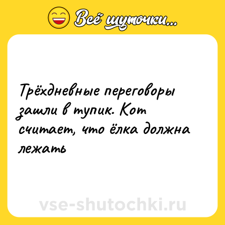 Шутка: Трёхдневные переговоры зашли в тупик. Кот считает, что ёлка должна лежать