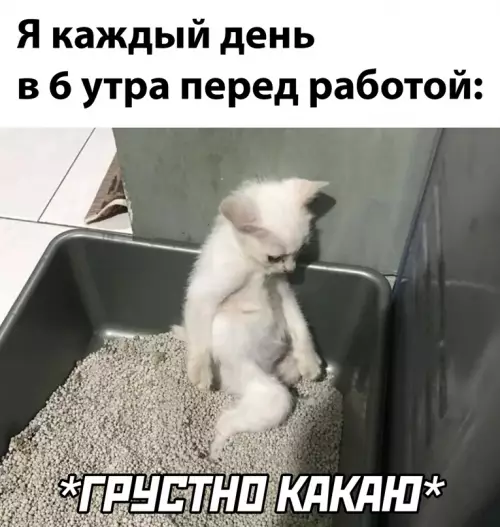 Смешная картинка №652031