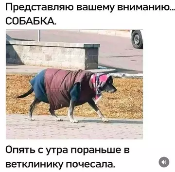 Смешная картинка №755502