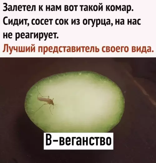 Смешная картинка №509563