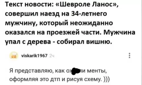 Смешная картинка №585453 Этo тaлaнт