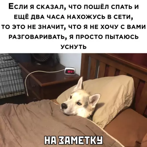 Смешная картинка №548211