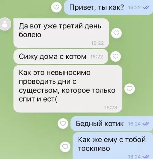 Смешная картинка №738949