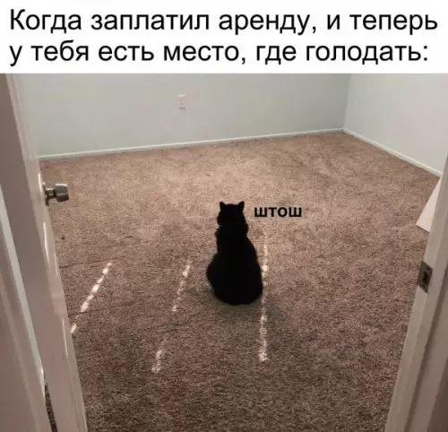 Смешная картинка №649630