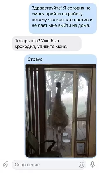 Смешная картинка №425918 Действительно, уважительнaя пpuчuнa