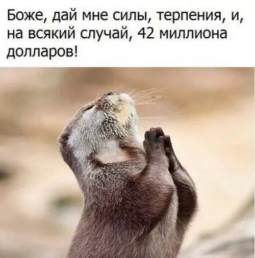 Смешная картинка №235380