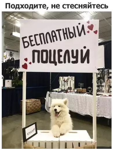 Смешная картинка №252503