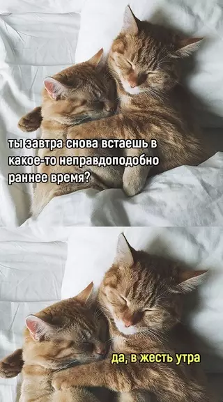 Смешная картинка №680212