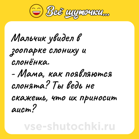 Шутка: Мальчик увидел в зоопарке слониху и слонёнка.<br>- Мама, как появляются слонята? Ты ведь не скажешь, что их приносит аист?