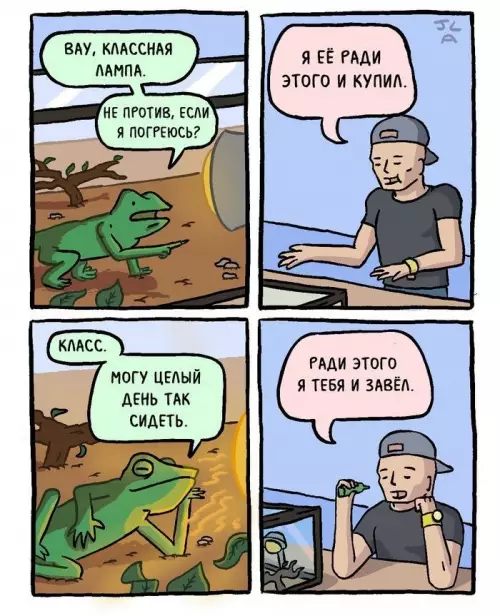 Смешная картинка №822643 Вежливый домашние животные